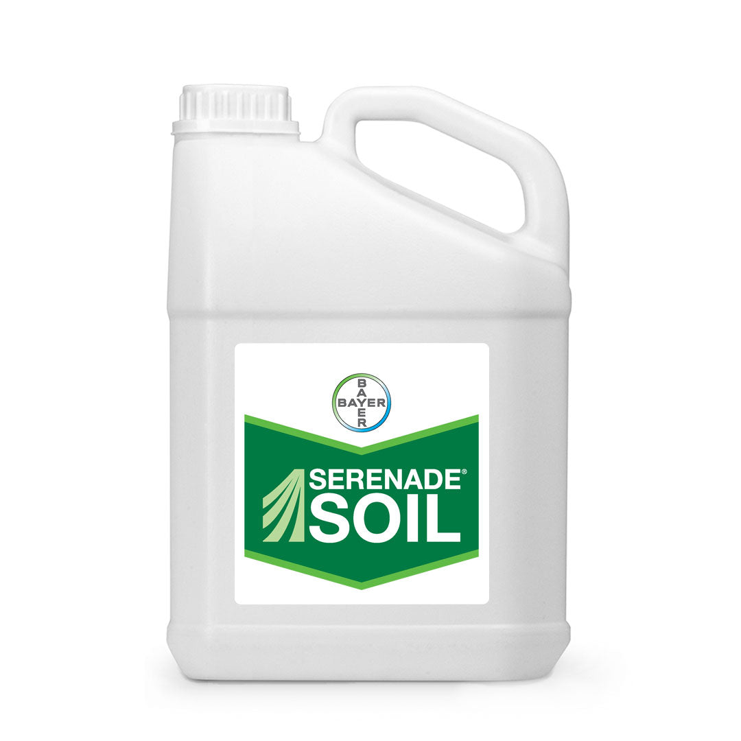 Serenade SOIL
