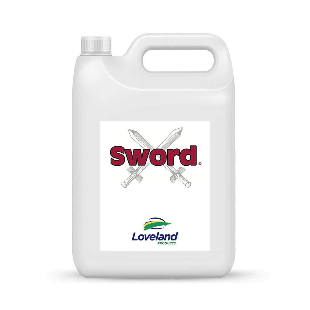 Sword