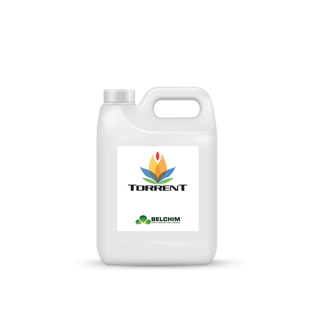 Torrent 400 SC