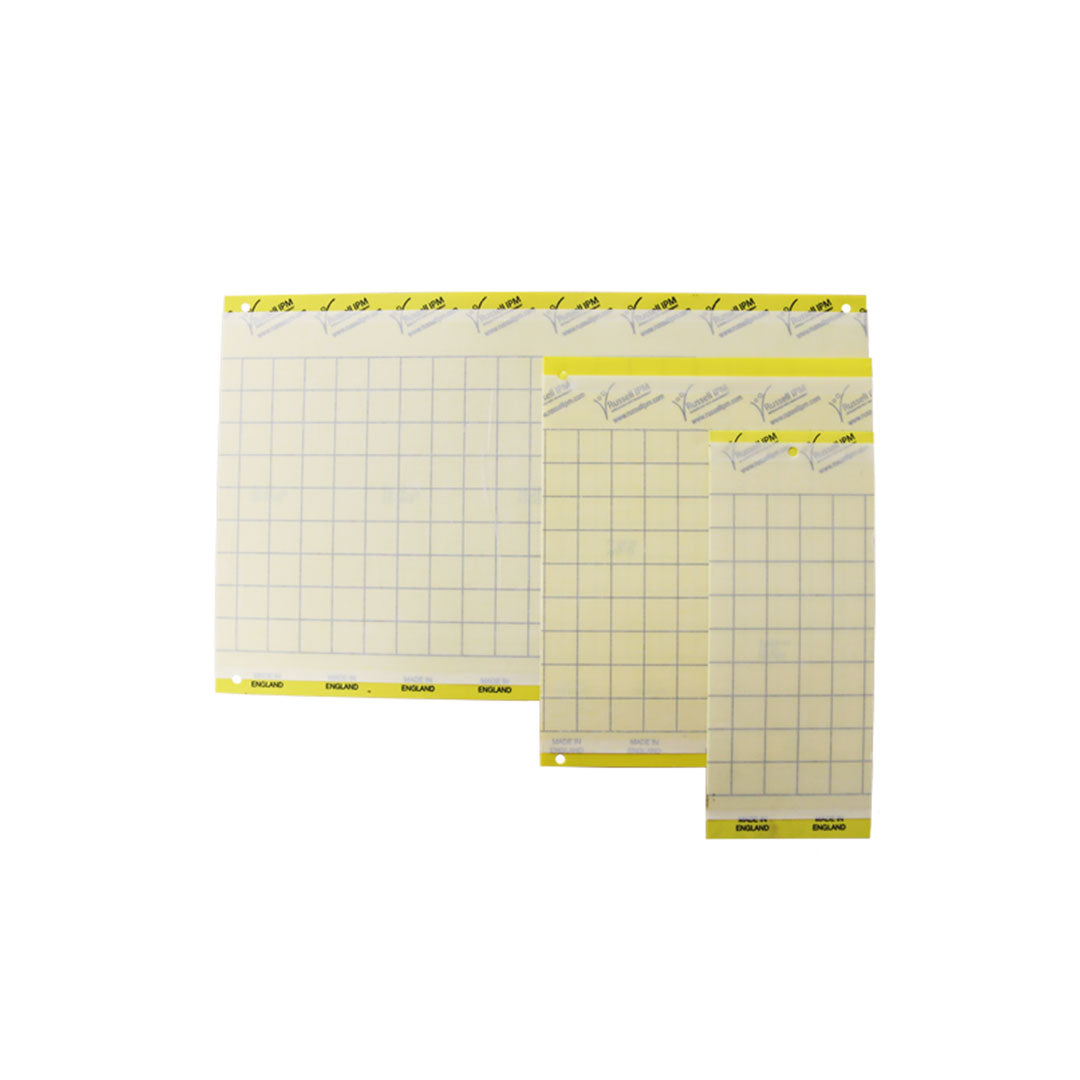 Yellow Sticky Cards