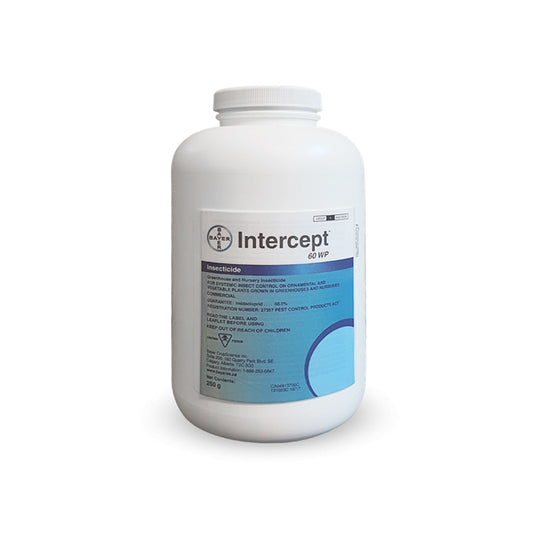 Intercept 60 WP