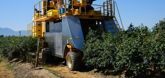 Critical Steps After Harvest