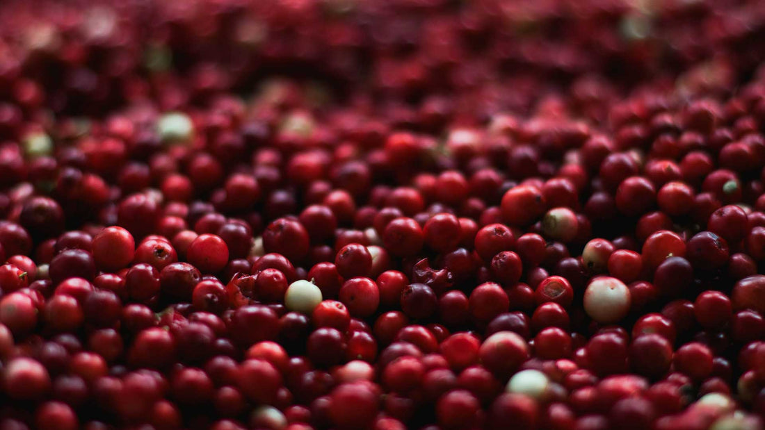 Late Season Foliar Applications on Cranberries