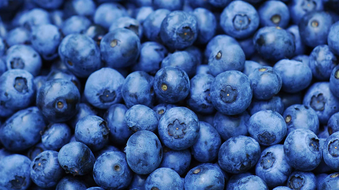 Highbush Blueberry Post Harvest Nutrition