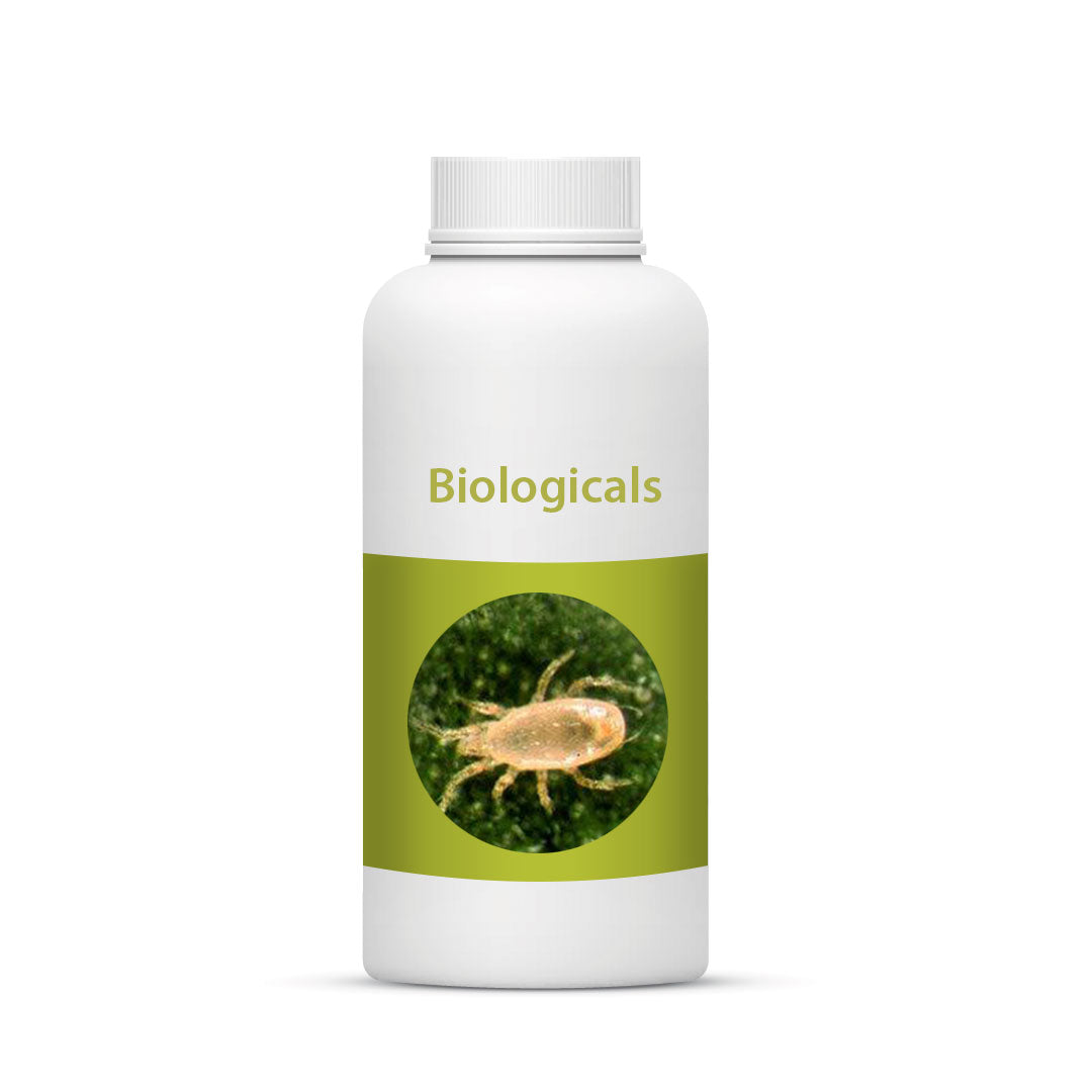 Bio Californicus – TerraLink