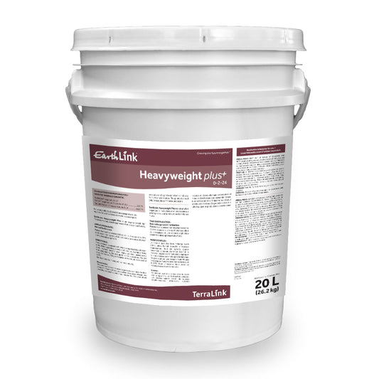Heavyweight 0-2-24