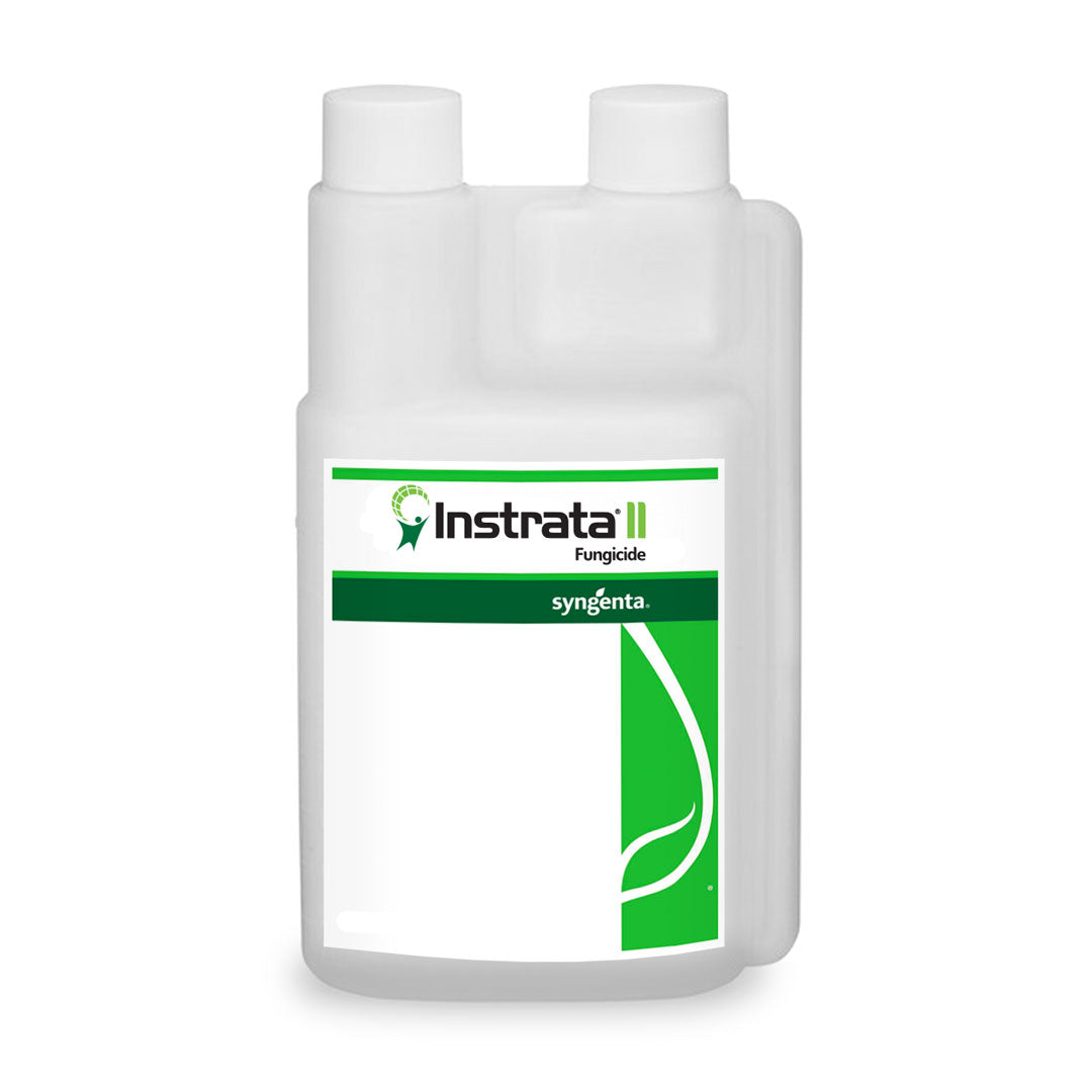 Instrata II