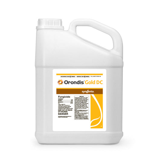 Orondis Gold DC