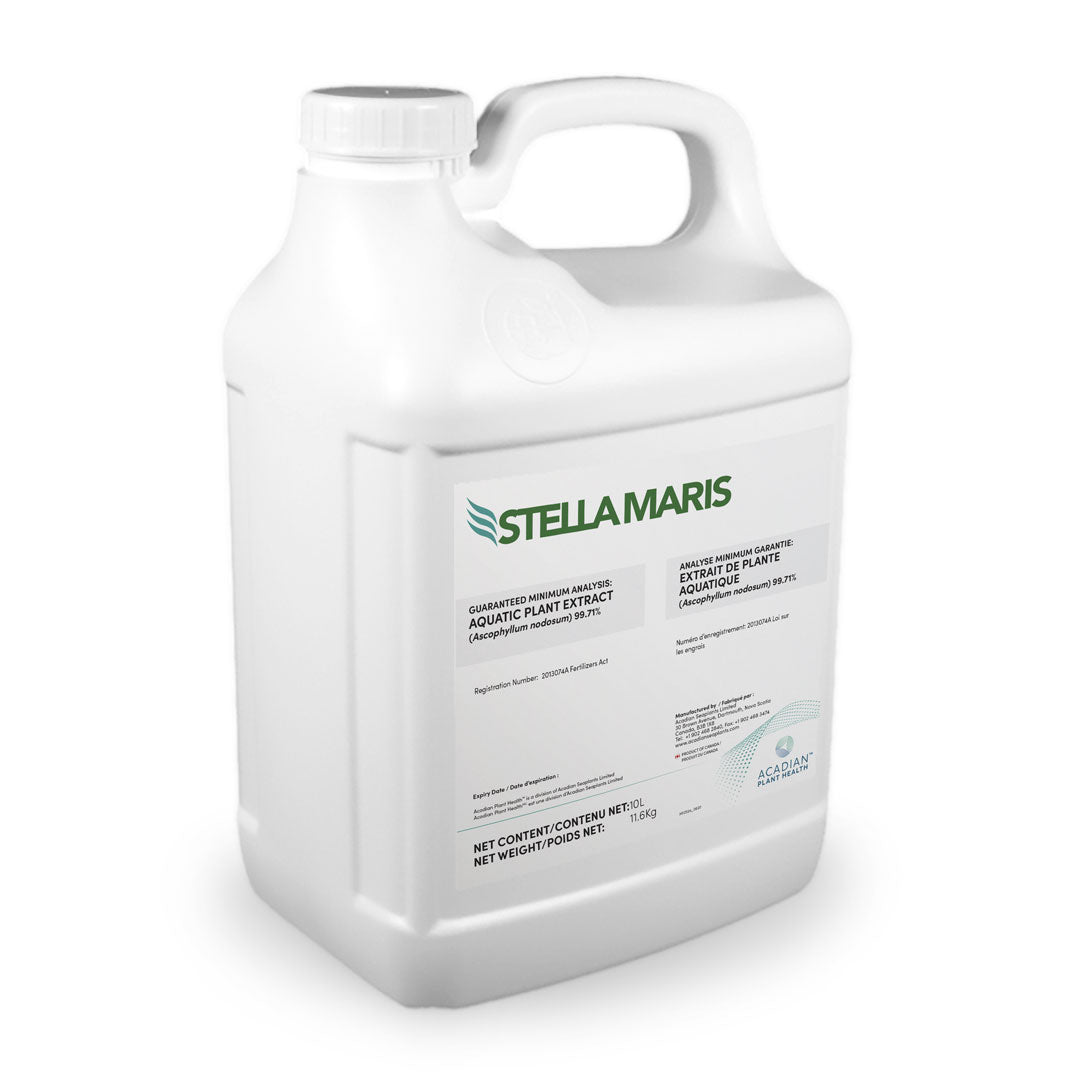 solaris plant sterol extracts Stella Maris Liquid Sea Kelp – TerraLink