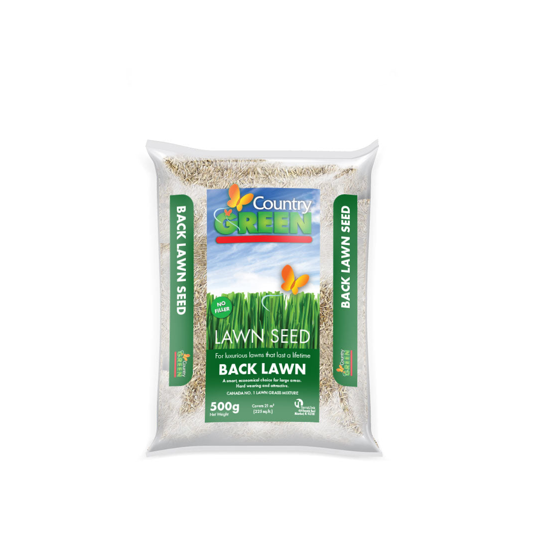 best grass seed for back garden Back Lawn Seed – TerraLink