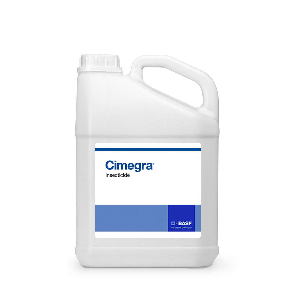 Cimegra – TerraLink