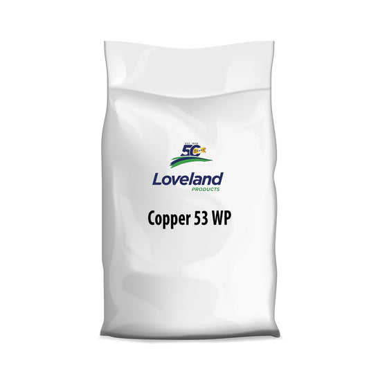 Copper 53 WP