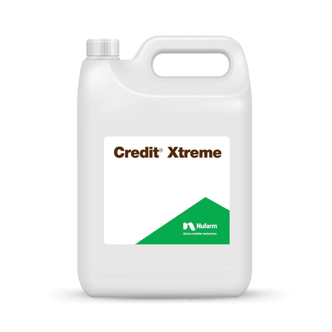 Credit Xtreme – TerraLink