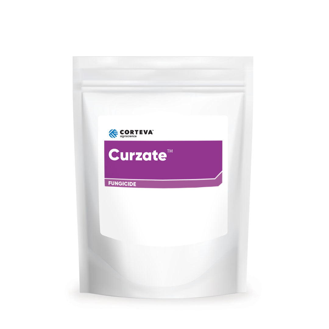 Curzate