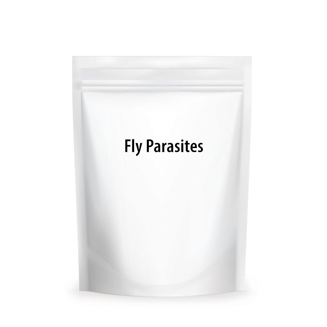 Fly Parasites