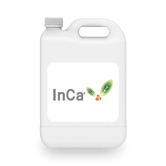InCa 10% Ca