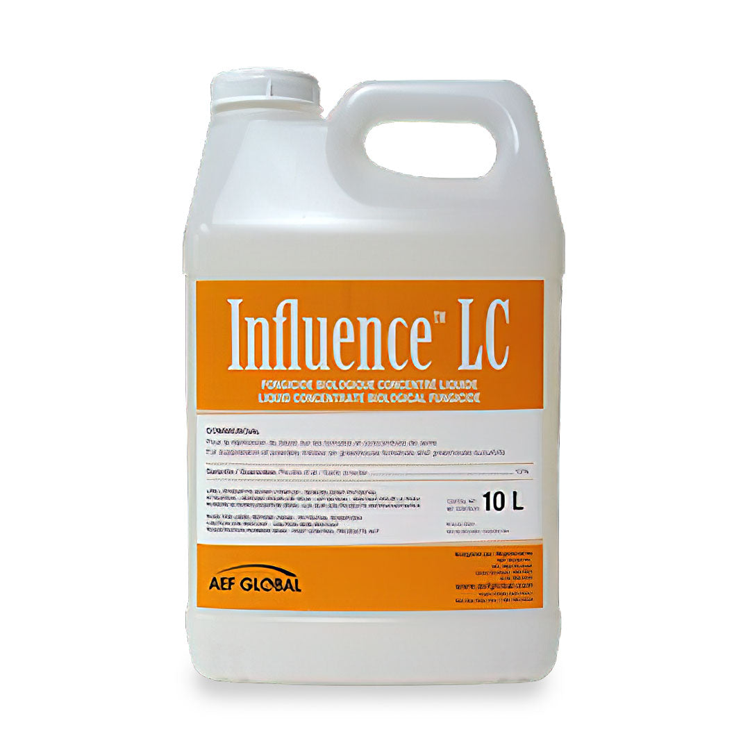 Influence LC