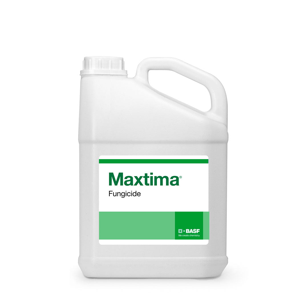 Maxtima