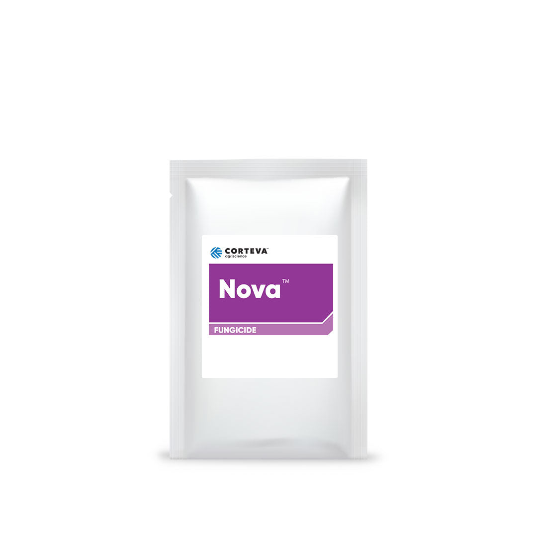 Nova