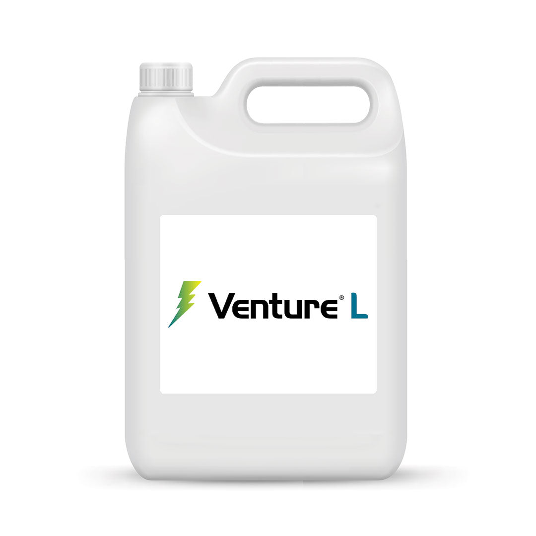 Venture L